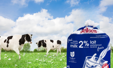 milk bags and cows